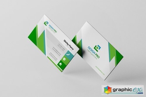 Business Card 2155857