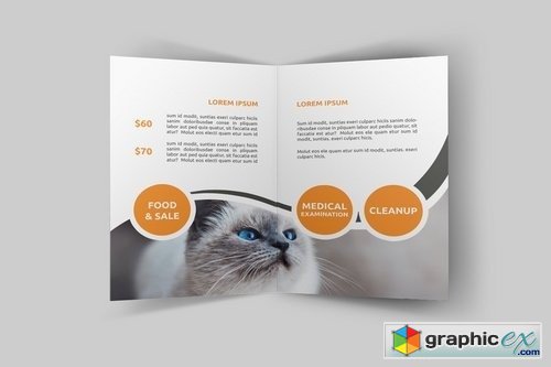 Pet Shop Bi-Fild Brochure
