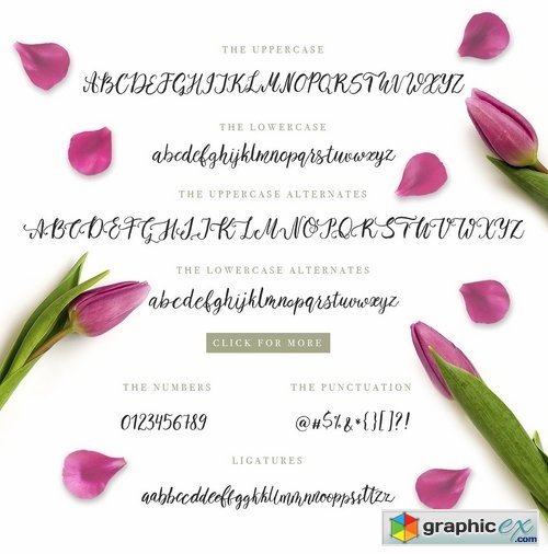 Tulip Garden Script
