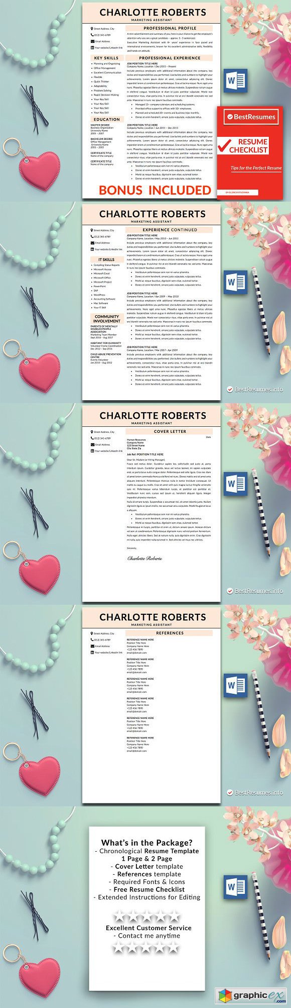 Professional Resume Template Word 2219741