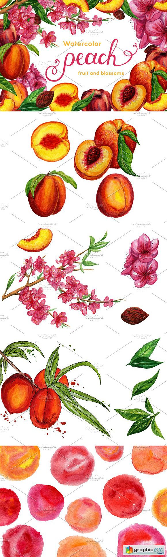 Watercolor peaches set