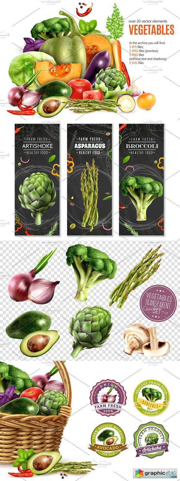 Vegetables Realistic Set
