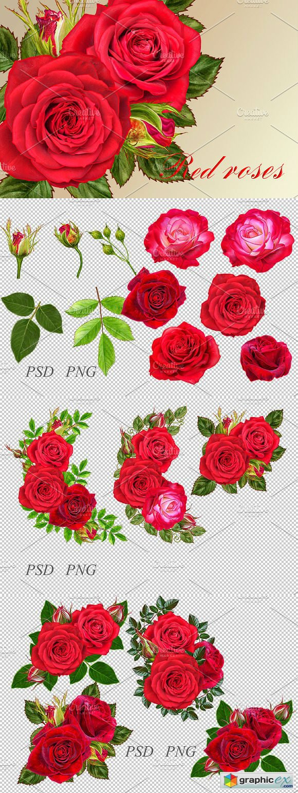 Collection of red roses