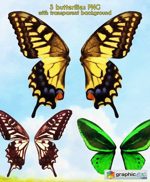Photo zone background with butterfly
