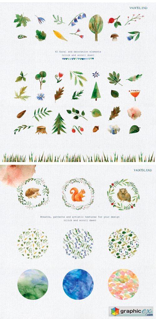 Set of Watercolor Illustrations