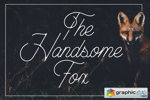 The Handsome Fox