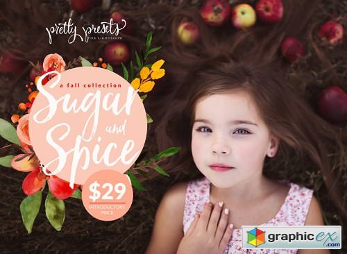 Pretty Presets - The Sugar And Spice Collection Lightroom Brushes