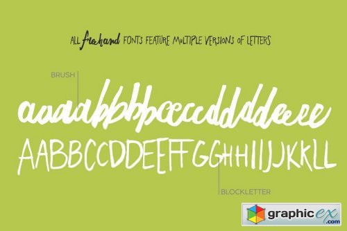 Freehand Brush Font Family - 6 Fonts