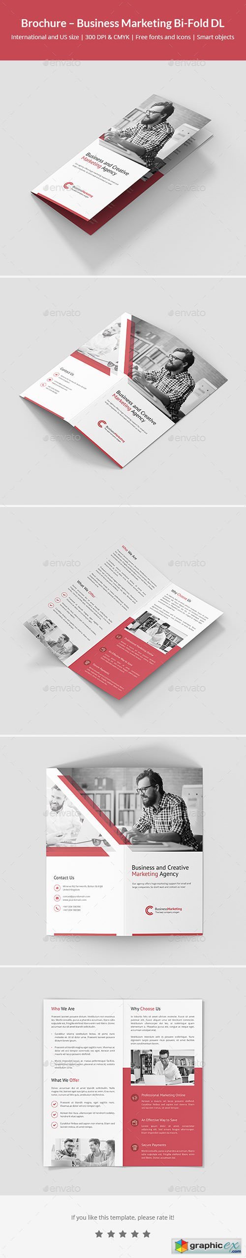 Brochure  Business Marketing Bi-Fold DL