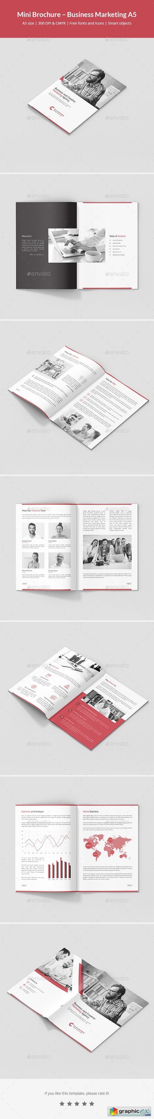 Mini Brochure  Business Marketing A5