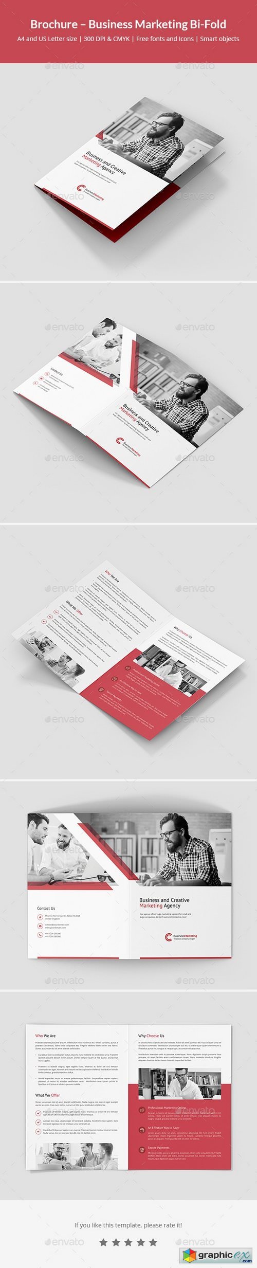 Brochure  Business Marketing Bi-Fold
