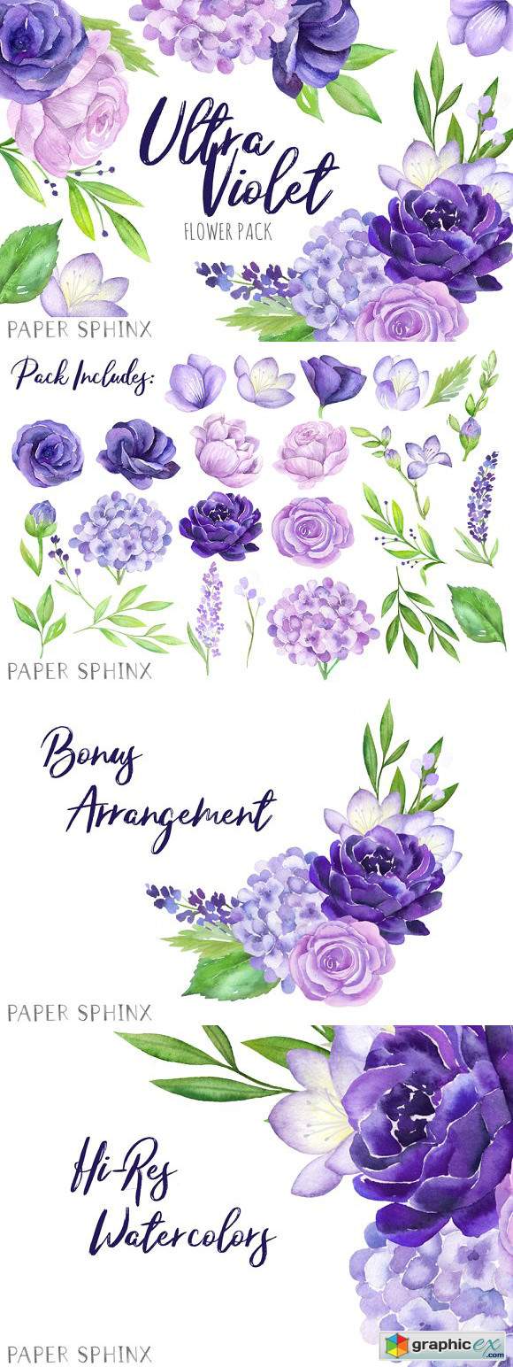 Watercolor Purple Flowers