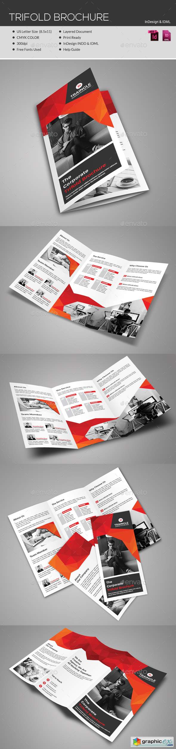 Trifold Brochure 21573089