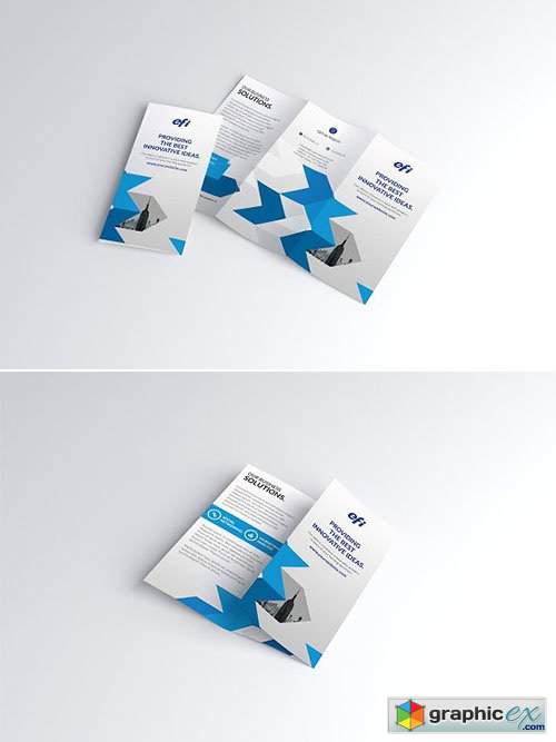 Trifold Brochure 2334912