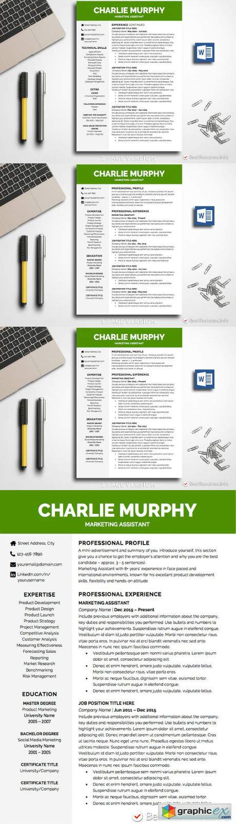 Professional Resume Template Word 2335664
