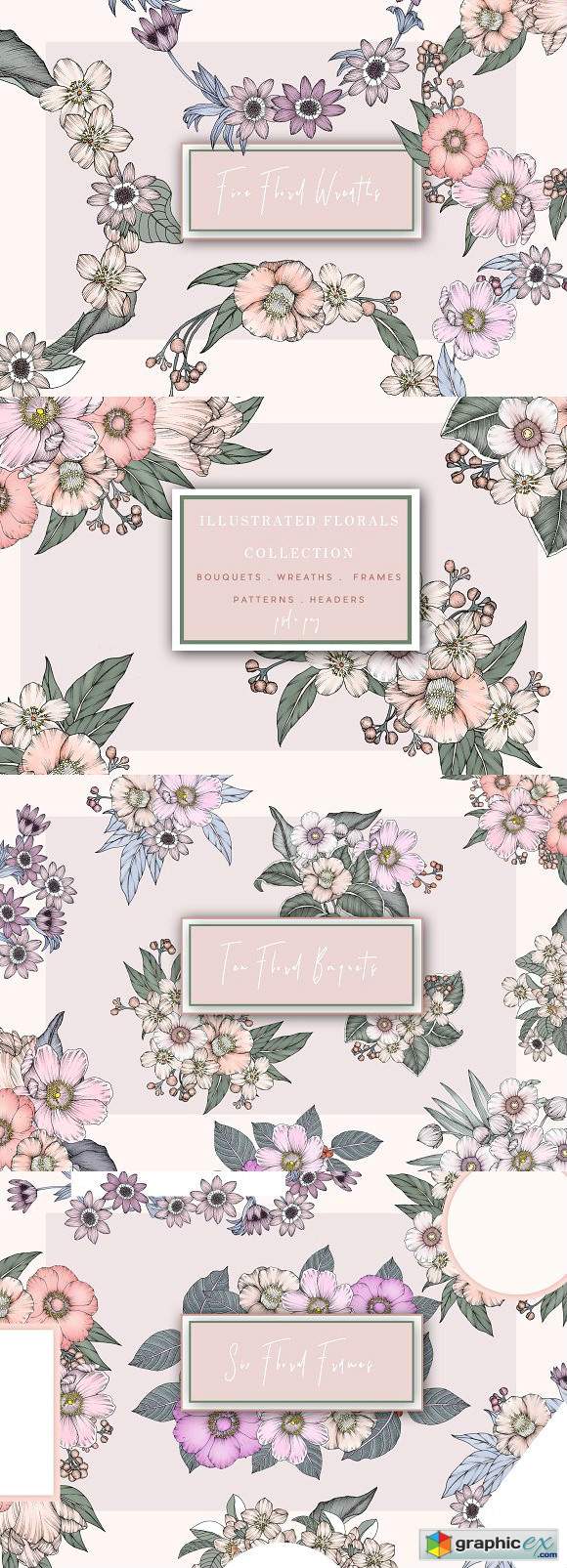 Illustrated Floral Collection