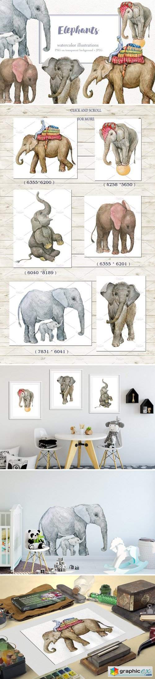 Elephants. Illustrations watercolor