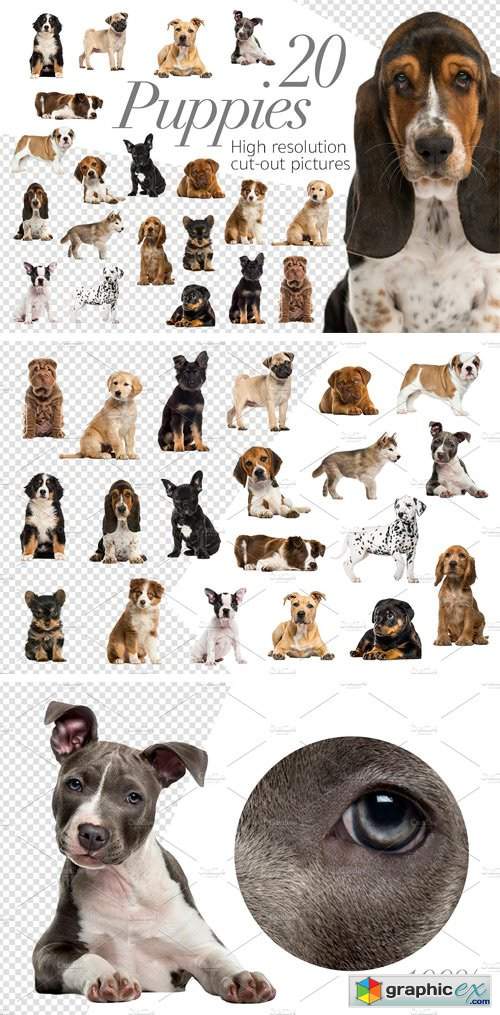 20 Puppies - Cut-out Pictures