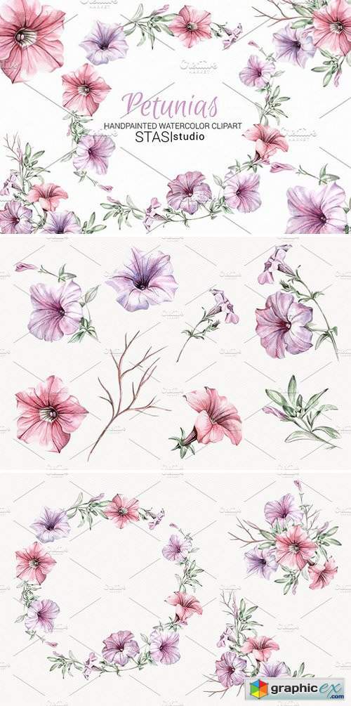 Watercolor Clipart Petunias