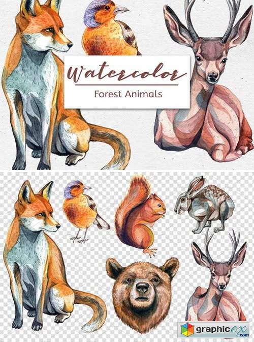 Watercolor Forest Animals – Set of 6