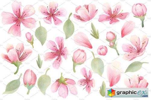Cherry Blossom Watercolor