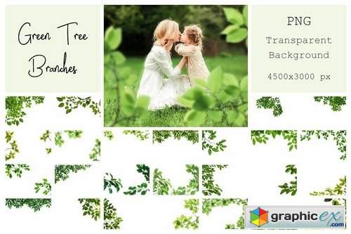 120 Green Tree Branches Overlays