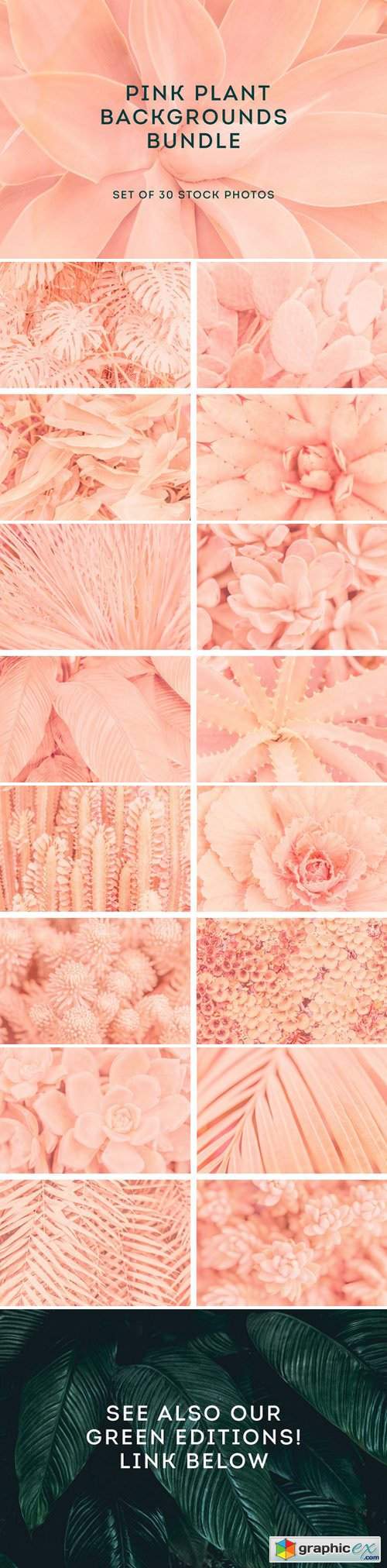 Pink backgrounds bundle