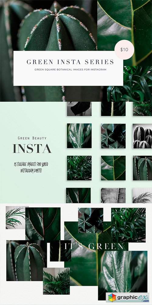 15 Green Plant Insta Square Photos