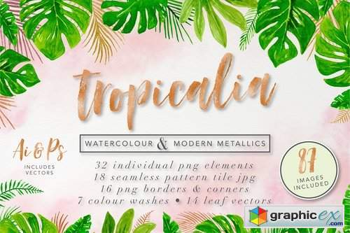 Tropical Watercolor Clipart Set