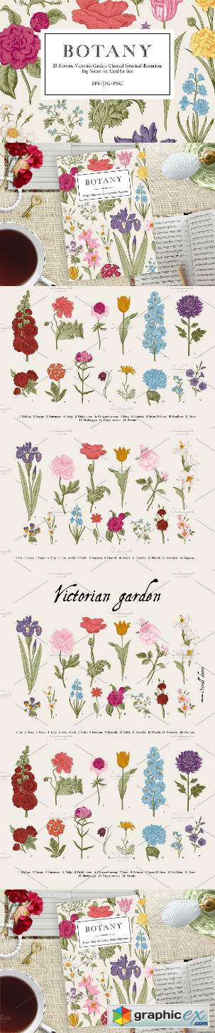 Botany Victorian garden Color