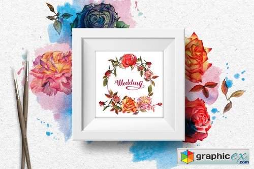 Wildflower colorful roses PNG set