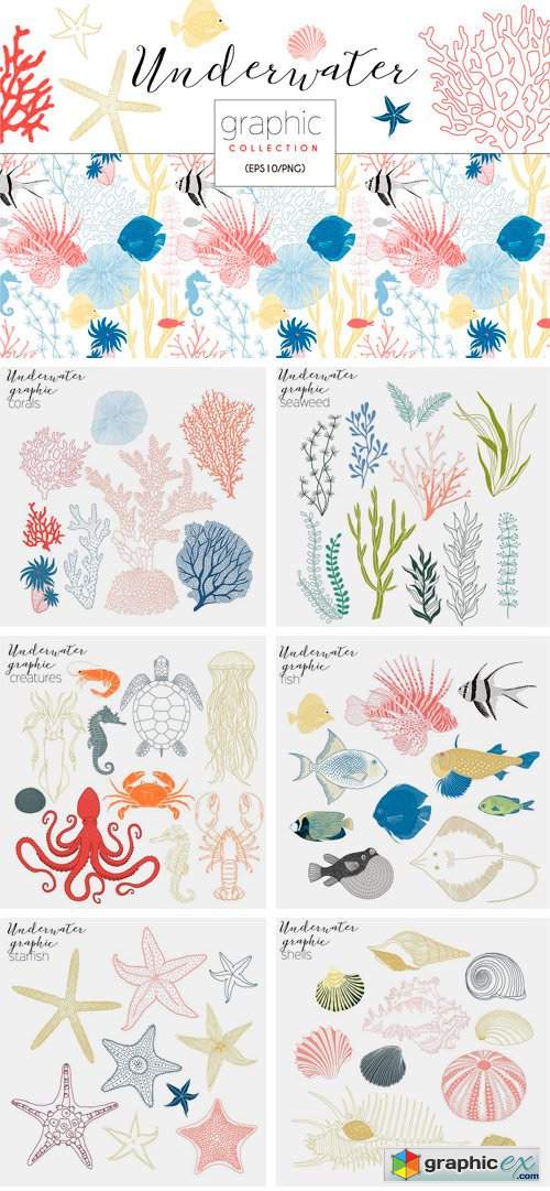 Underwater Graphic Collection