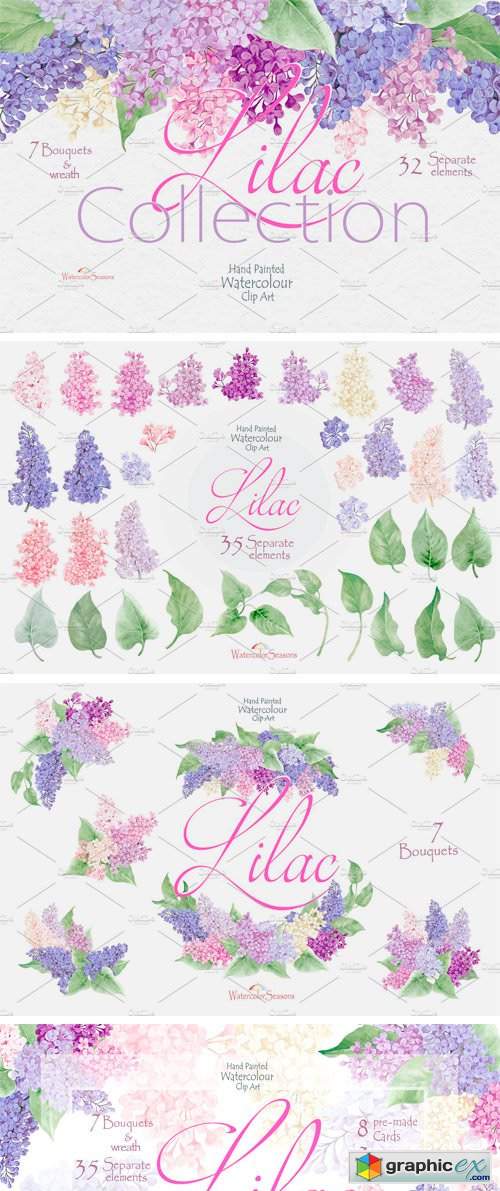 Lilac Collection