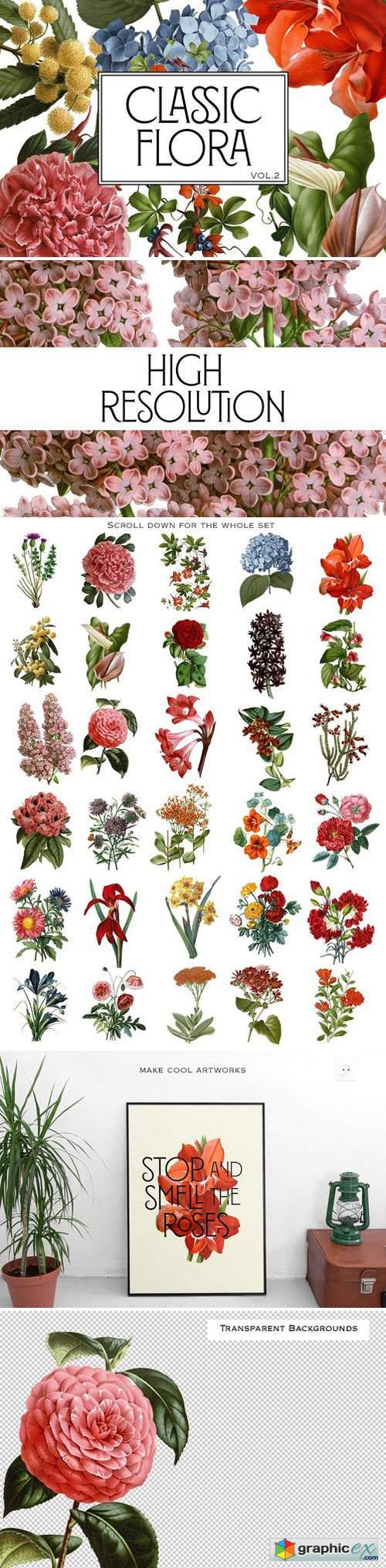 Botanical Flowers vol.2