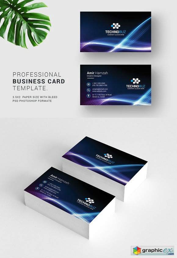 Business Cards 2474326