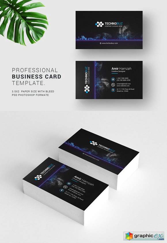 Business Cards 2474249
