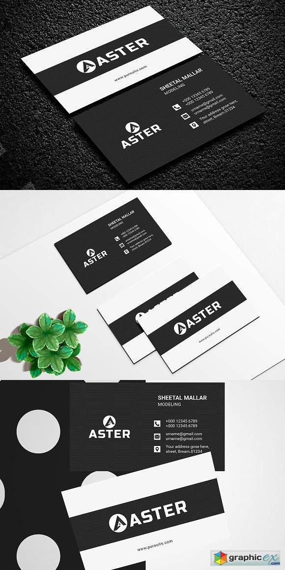 Business Card 2554557