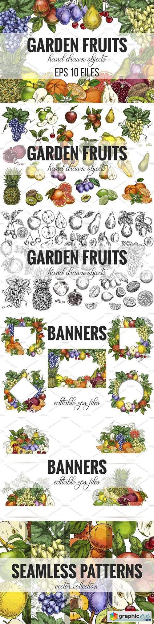 Garden Fruits, vector collection