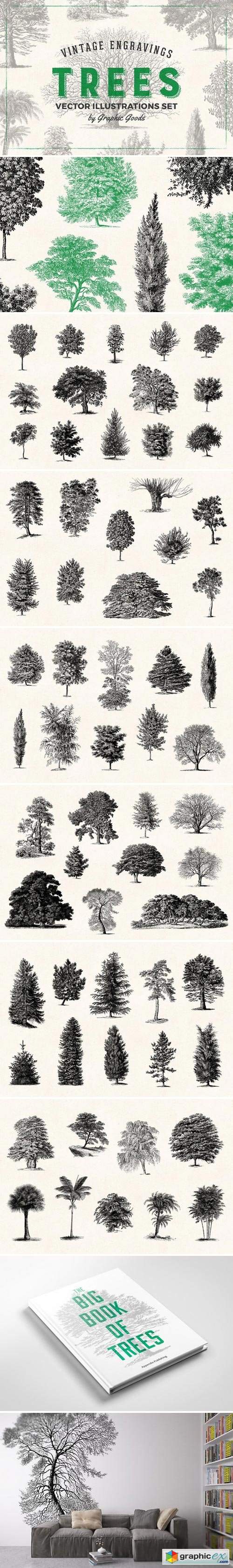 Trees - Vintage Illustrations Set