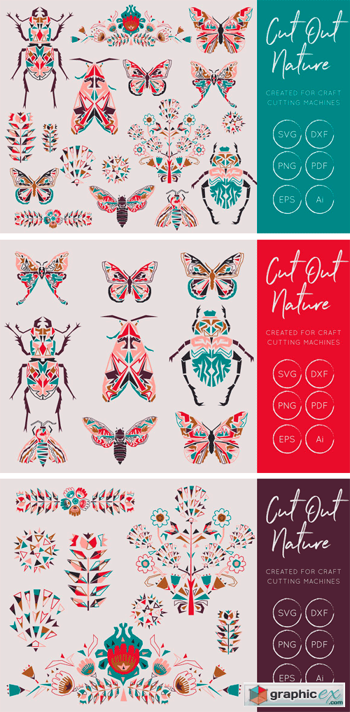 Butterflies and Beetles SVG Bundle