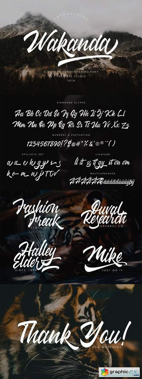 Wakanda Script Font