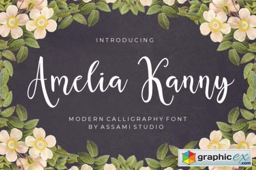 Amelia Kanny Font