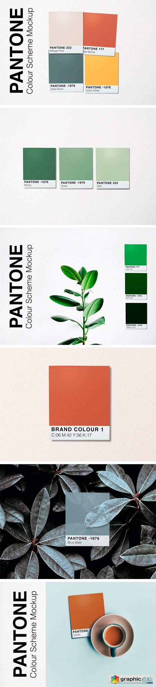 Pantone Colour Scheme Mockup
