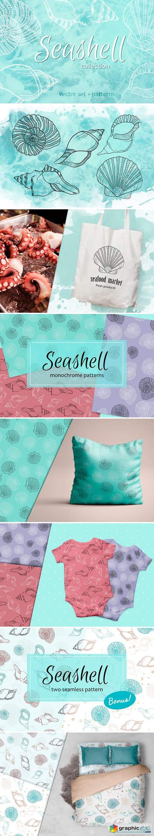 Seashell collection of patterns