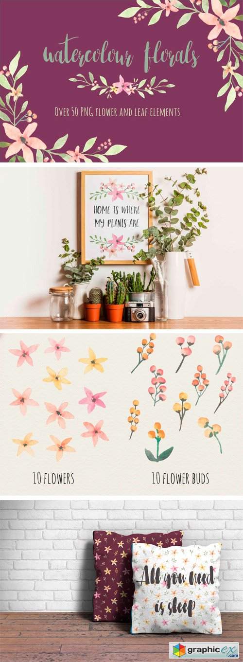 50+ Hand Painted Watercolor Florals