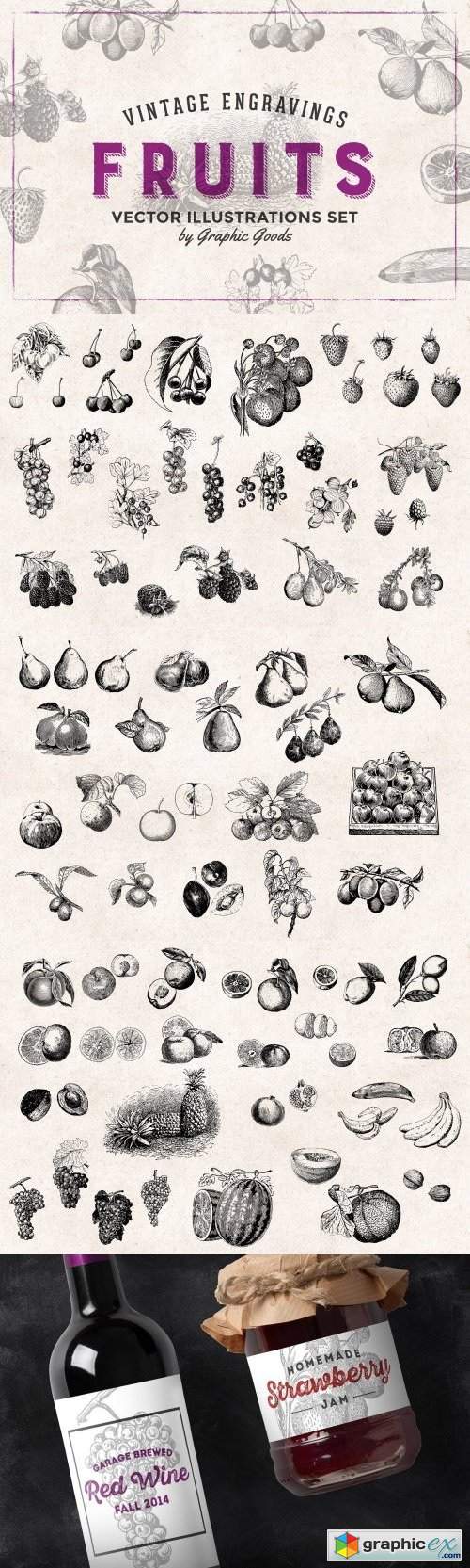 Fruits Engravings Set
