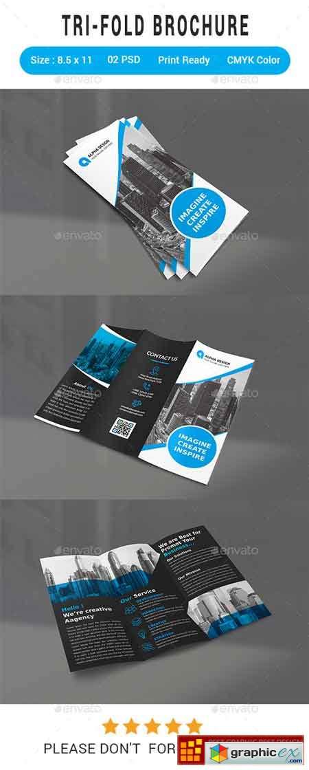Trifold Brochure 22095077