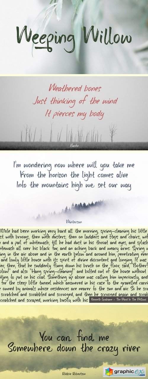 Weeping Willow Font - 2 Font