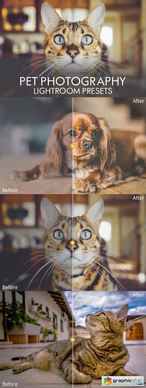 18 Pet Photography Lightroom Presets [JPEG/RAW]