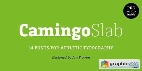 Camingo Slab Font Family - 28 Fonts